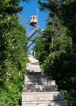 Fire look-out Tower in Terra Nova Stock Illustration