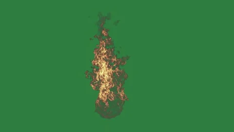 Fire Looping - Chroma Key Green Screen Footage Stock Footage 338012662