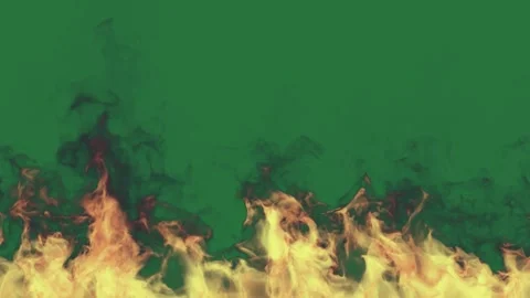 Fire Looping - Stock Video Element Stock Footage 338011705