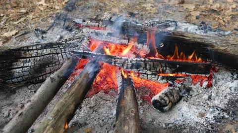 A fire made of dry branches in the forest. Meditation video Stock Footage 252891392