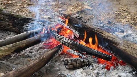 A fire made of dry branches in the forest. Meditation video Stock Footage 252891511