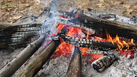 A fire made of dry branches in the forest. Meditation video Stock Footage 252891545