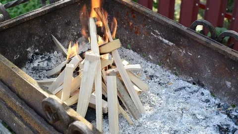 Fire in mangal Video stock 82530509