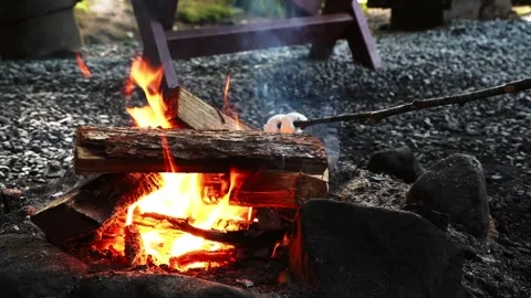 Fire  with marshmallows Stock Footage 315714019