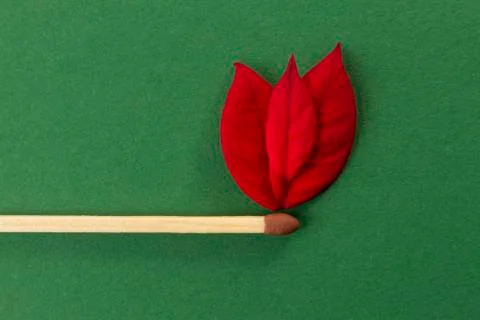 Fire on match Stock Photos