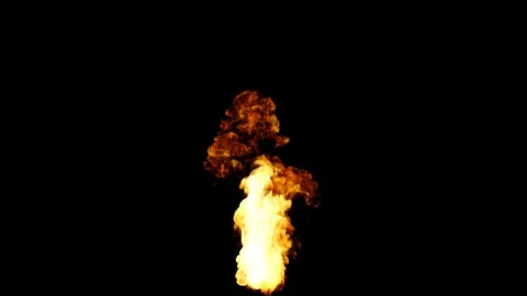 Fire With Matte Stock Footage 109449712