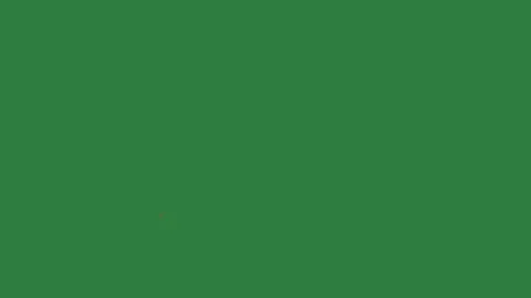 Fire in the middle bunch of orange balloons dots on it isolated on green screen Stock Footage 336889833