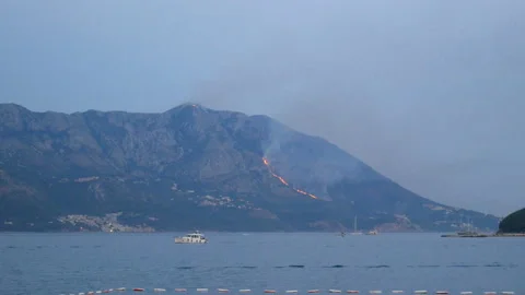 Fire in Montenegro forest in august 2018 Stock-Footage 94058013