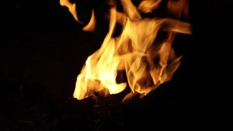 The fire on Mount Chimera Turkey is burning at night Video stock 310495158
