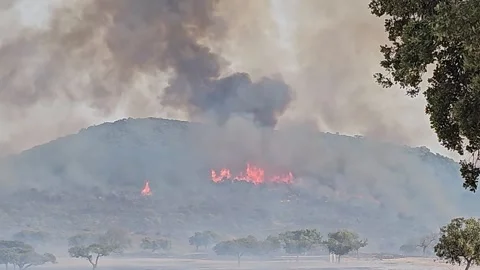 Fire in the mountain Stock Footage 330925558