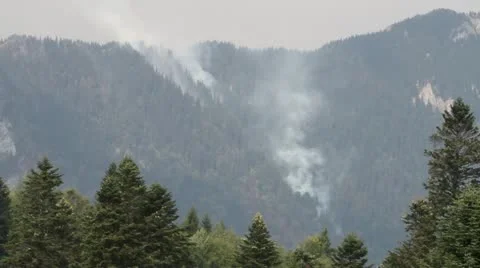 Fire in mountain forest Vídeos de archivo 12094490