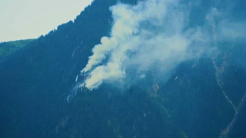 Fire in a mountain forest. Video stock 93592656