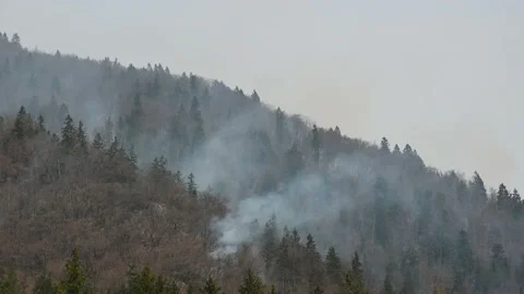 Fire in the mountains in Slovenia Stock Footage 188686418
