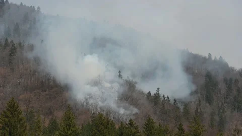 Fire in the mountains in Slovenia Stock Footage 188694872