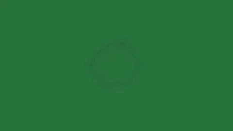 Fire Moving - Chroma Key Green Screen Footage Stock Footage 338016257