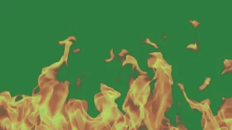 Fire Moving On Green Screen Chroma Key Background Vidéo 338015065