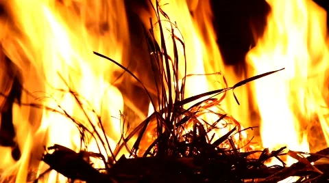 Fire - MVI 4251 Video stock 877480