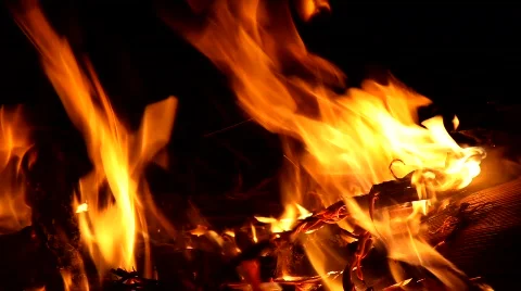 Fire - MVI 4255 Stock Footage 877487
