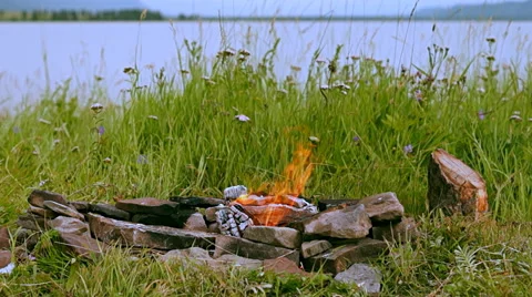 Fire on nature background Stock Footage 41423566