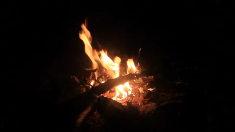 Fire in nature. Background Inside the bonfire. Firewood. Night Stock Footage 136244527