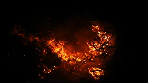 Fire in nature. Bokeh from the fire. Stock Footage 89706590