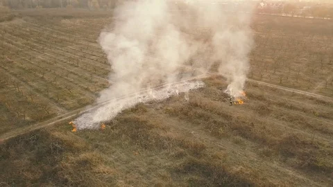 Fire on the nature. A column of smoke rises above the burning grass Stock Footage 127378736