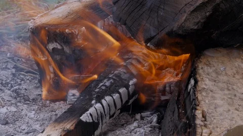 The fire of nature, fire Stock-Footage 127893008