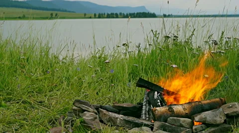 The fire on the nature Stock Footage 41423644
