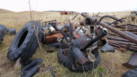 Fire in nature Stock Footage 101026689