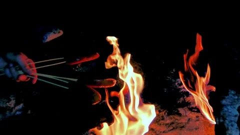 Fire in nature Stock Footage 263951825