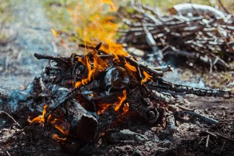 The fire on the nature Stock Photos