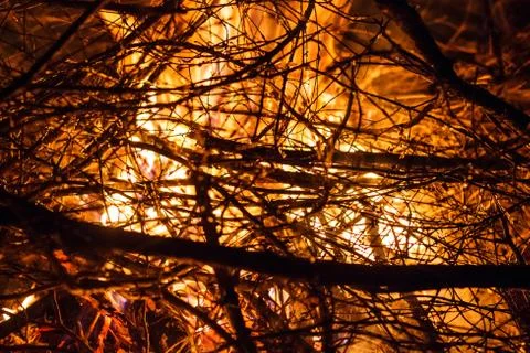 Fire in nature Foto stock