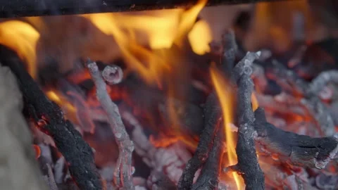 Fire in nature, a piece of log burning with vibrant yellow flames, slow motion Stock Footage 310408813