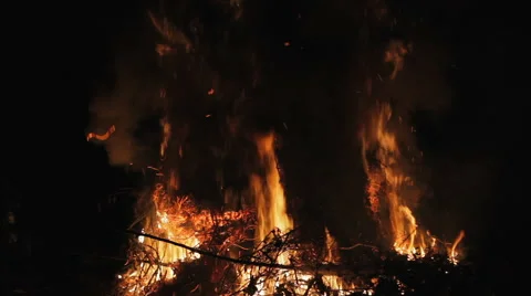 Fire at night. Combustion. Stock Footage 68201821