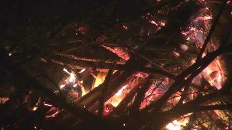 Fire in the night Video stock 10537460