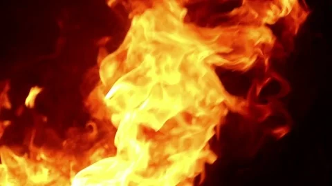 Fire at night Stock Footage 77748358