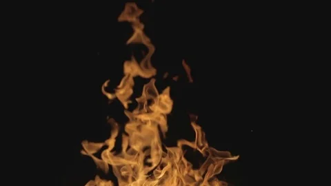 Fire in the night. Stock Footage 78870300