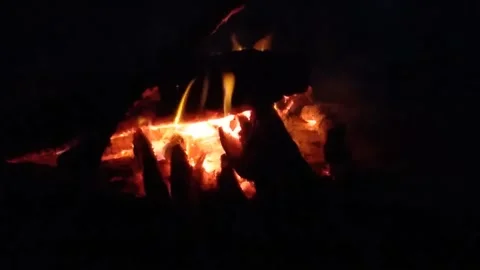 Fire at night Stock Footage 219374577