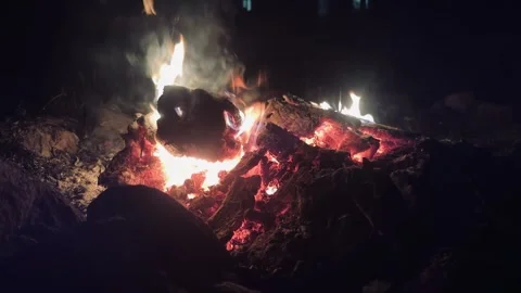 Fire at night. Stock Footage 282829464