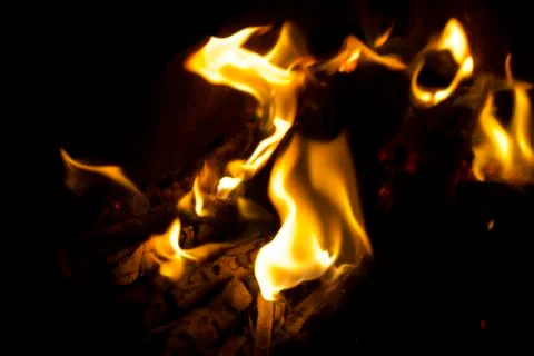 Fire at night. Stock Photos
