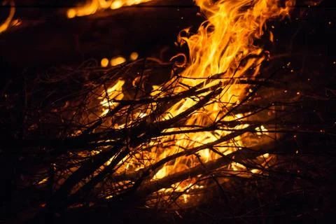 Fire in night Stock Photos