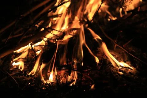 Fire in night 스톡 사진