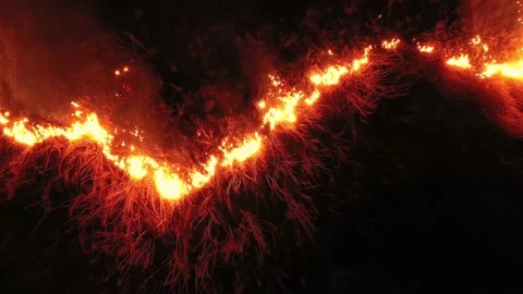 Fire at night on the prairie Video stock 170761676