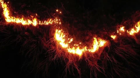 Fire at night on the prairie Video stock 170761726