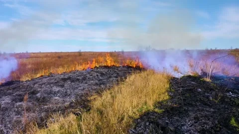 Fire at night on the prairie Video stock 170774947