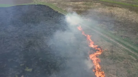 Fire at night on the prairie Stock Footage 170774961