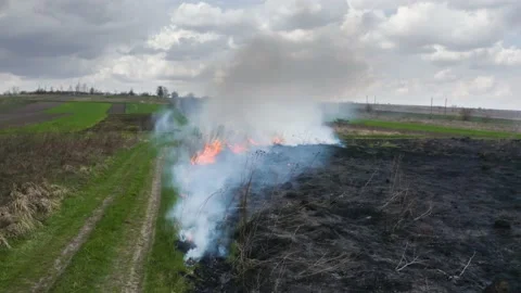 Fire at night on the prairie Stock Footage 170774973