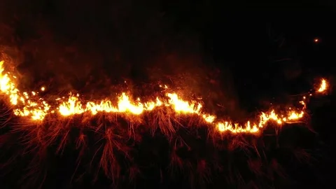 Fire at night on the prairie Stock Footage 170778786