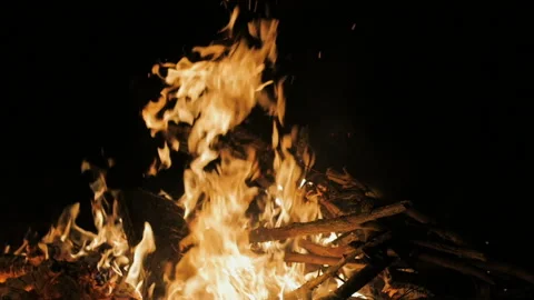 Fire At Night. Wood On Fire Stock Footage 117573489