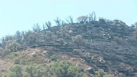 Fire northeast of Spain stabilized after burning 410 hectares, Barcelona, ES - 1 Vidéo 204048147
